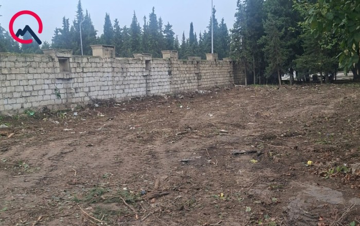 “Gecə saatlarında çoxlu ağacı kəsib daşıdılar” - Rəsmi açıqlama+Fotolar