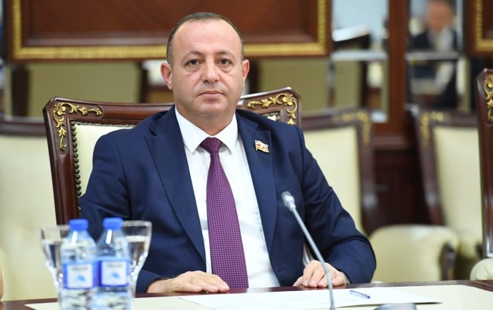 “Bəzi hallarda bu gecikmə şəxsin hüquqlarına ciddi zərər vura bilər”