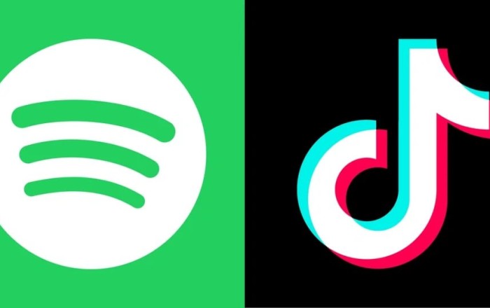 “TikTok” və “Spotify” Azərbaycanda vergiyə