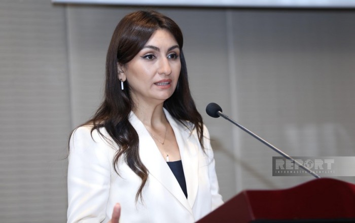 Samirə Musayeva: "Əmtəsiz əməliyyatlar vasitəsilə maliyyə cinayətləri törədilir"