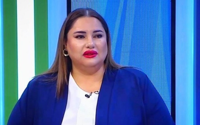 Aytən Səfərovaya cinayət işi açıldı