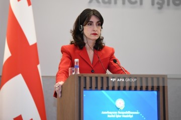 Georgian Foreign Minister speaks about the possibility of restoring relations with Russia