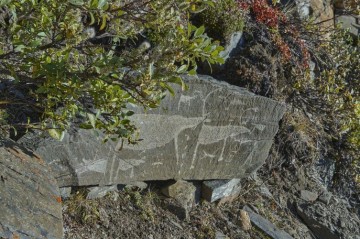 Rusiyada "Qobustan izi" — Yeni qayaüstü kəşf +