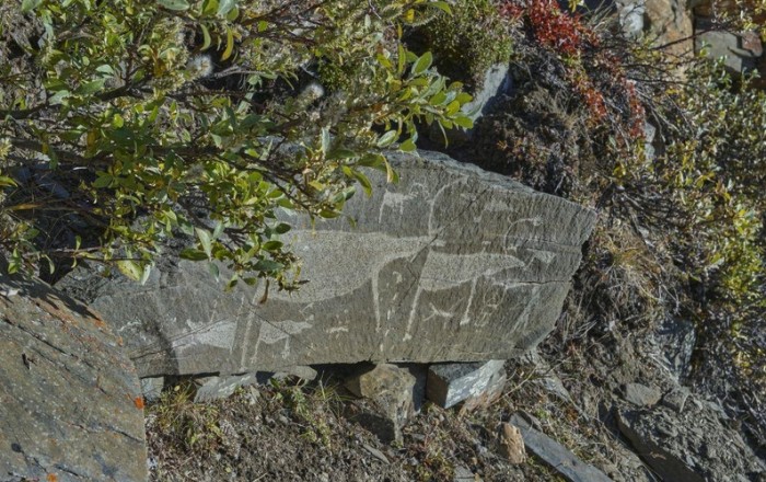Rusiyada "Qobustan izi" — Yeni qayaüstü kəşf +