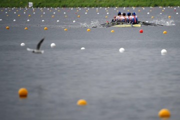 Crocodile-ridden Rockhampton river venue cleared to host Brisbane 2032 rowing