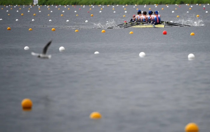 Crocodile-ridden Rockhampton river venue cleared to host Brisbane 2032 rowing