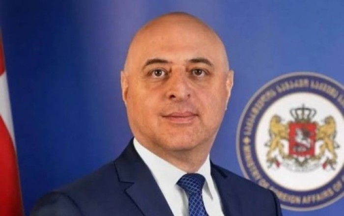 Gürcüstan Azərbaycana yeni səfir təyin edib