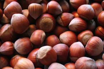 Xinhua: Azerbaijan is a major global producer and exporter of hazelnuts