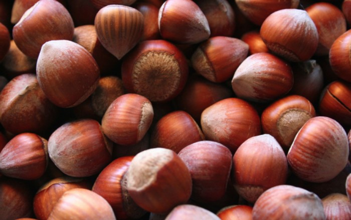 Xinhua: Azerbaijan is a major global producer and exporter of hazelnuts
