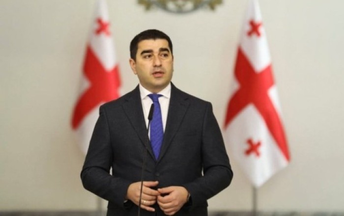 Gürcü spiker: Avropa vəsaitləri Gürcüstanda faşizm ideologiyasının təbliğinə sərf olunur