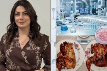 TOYUQ YEYƏN KİŞİLƏRİN XARAKTERİ DƏYİŞİR? – Ekspert iddialara aydınlıq gətirdi