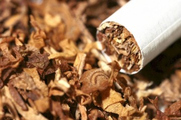 Azərbaycan Türkiyədən tütün alışını 22 %-dən çox azaldıb