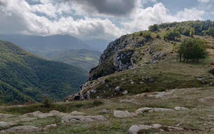 Şəhidlərin adlarını orada görmək məyus etdi – Yolverilməzdir!