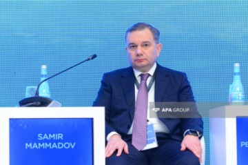 Nazir müavini: Kibertəhlükəsizliyin gücləndirilməsi üçün sistemli tədbirlər görülür