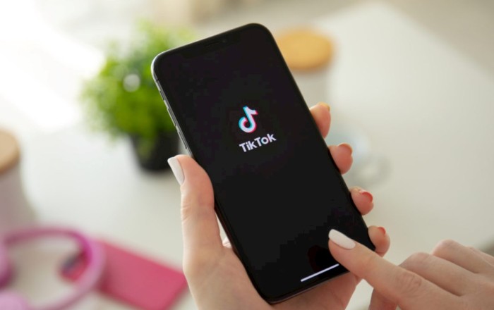 Azərbaycanda məktəblərdə Tiktoka giriş bloklandı