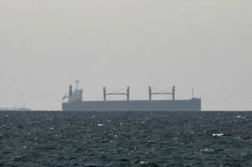 Türkiye says second Turkish-owned ship has crossed Hormuz strait