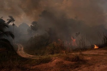 Tropical forest loss eased in 2023 but threats remain, analysis shows