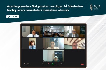 Export of hazelnuts from Azerbaijan to Bulgaria and other EU countries discussed