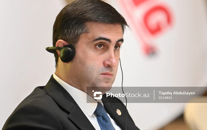 "Dekolonizasiya ilə bağlı son 20–30 ildə ciddi irəliləyiş əldə olunmayıb" -