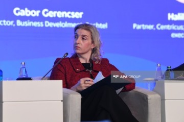 ABŞ Azərbaycanla müdafiə və təhlükəsizlik sahəsində əlaqələrinə diqqəti artıracaq