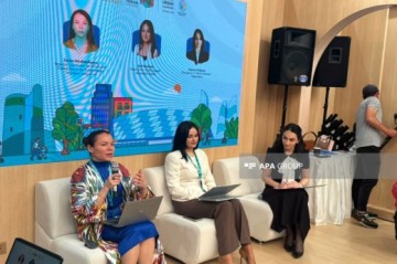 UNV coordinator: ASAN model creates opportunities for volunteers to become part of civil society