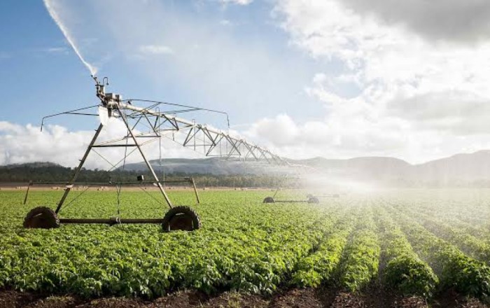 Researchers propose new irrigation to balance water conservation, food security in China